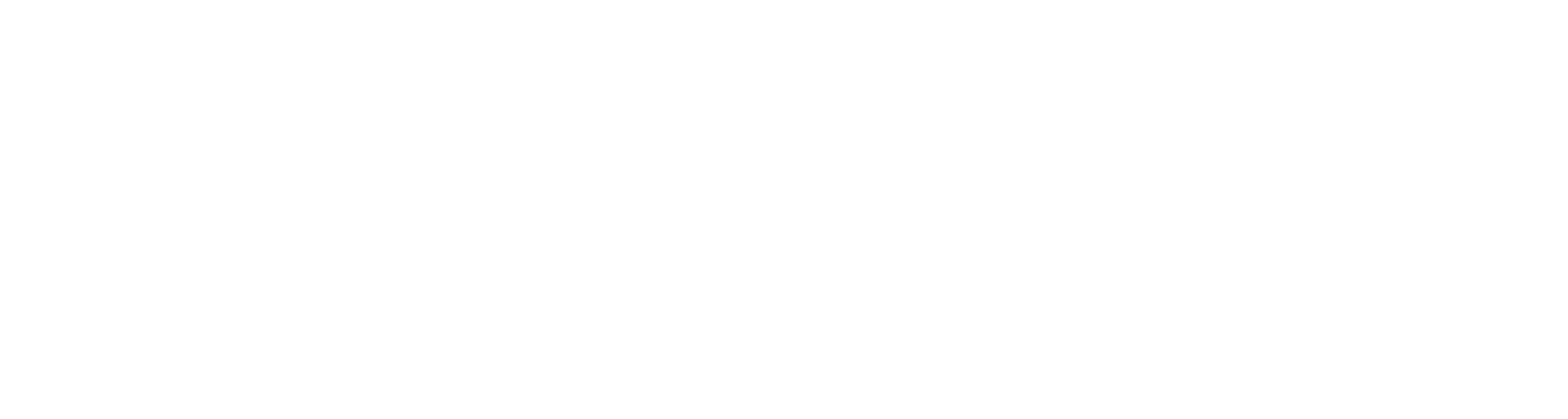 Vil Fashion Logo